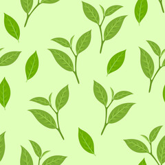 Green leaves seamless pattern. Botanical background with green tea branches. Vector cartoon flat illustration.