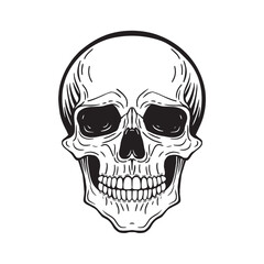 graphic drawing of a skull, black and white illustration