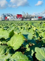 View of methanol and ethanol factory. Polish producer of bioethanol and ethanol produced from corn...