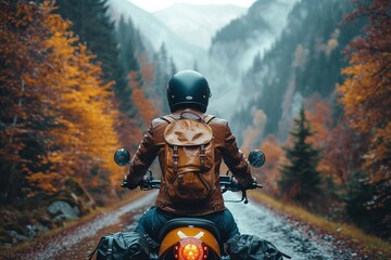 A motorcycle rider in full gear taking a scenic ride through a forested mountain pass - obrazy, fototapety, plakaty