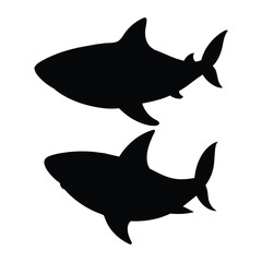 silhouette of shark on white