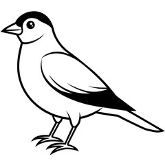 illustration of a bird