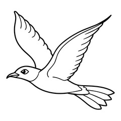 dove of peace