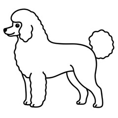 dog breed dog