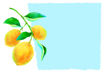 枝付きの瑞々しいレモンのイラスト