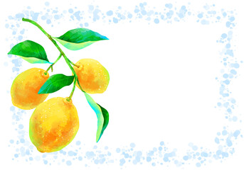 枝付きの瑞々しいレモンのイラスト