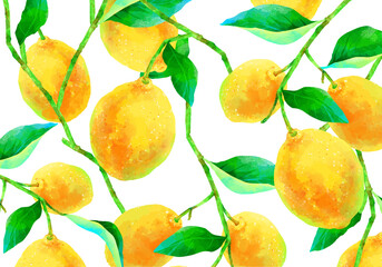 枝付きの瑞々しいレモンのイラスト