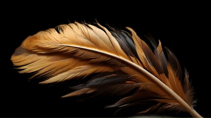 feather on black background. Generated AI