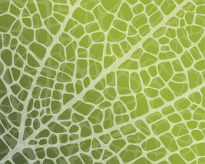 Macro texture of a tree leaf.