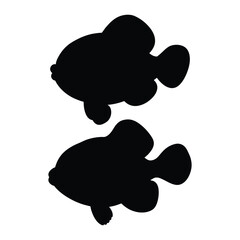 silhouette of clownfish on white