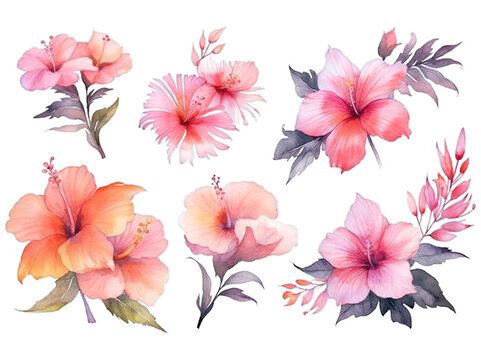 Illustration watercolor Floral in Garden, wildflower, colorful flowers, on transparent background with png file. Cut out background.