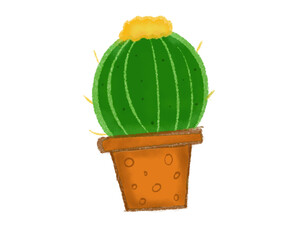 Round cactus in a pot with yellow Flowers on it