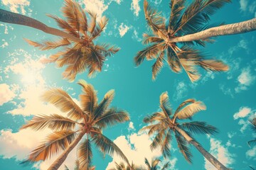 Fototapeta na wymiar tropical background with palm tree