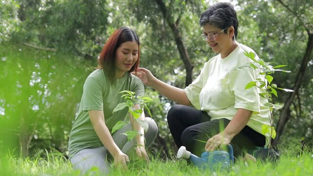 Asian volunteer family planting trees. A daughter and her elderly mother are helping to plant trees in the garden to create a forest. Save the world, save the environment. 