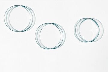 Petri dish. A set of Petri cups. On a white background. Laboratory half.