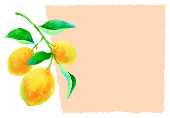 枝付きの瑞々しいレモンのイラストフレーム