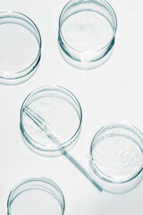 Petri dish. A set of Petri cups. A pipette, glass tube. On a white background.