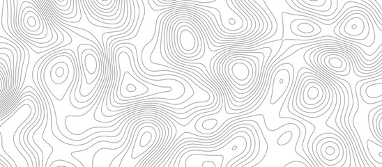 Panorama view gradient multicolor wave curve lines banner background design. Vector illustration. wave Line topography map contour background .Abstract Topographic map background with wave line.