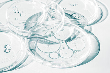 Petri dish. Petri cups with liquid. Kit. Chemical elements, oil, cosmetics. Gel, water, molecules, viruses. Close-up. On a white background.