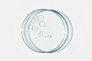 Petri dish. Petri's cup with liquid. Chemical elements, oil, cosmetics. Gel, water, molecules, viruses. Close-up. On a white background.