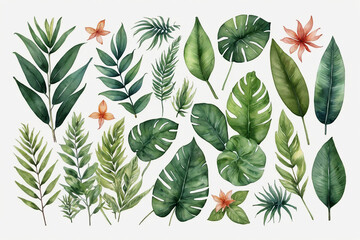 Watercolor set of tropical leaves and flowers. Hand drawn illustration isolated on white background. - obrazy, fototapety, plakaty