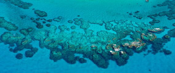 Coral reef next to the tropical paradise island of Bermuda