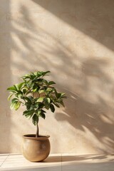 Sunlit plant casts long shadows on a warm beige wall, creating a serene Mediterranean vibe in this minimalist summer interior.