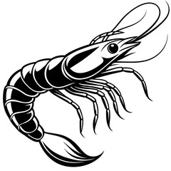 Shrimp vector illustration.

