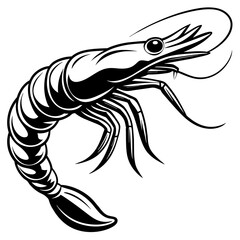 Shrimp vector illustration.
