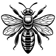           Asian giant hornet bee vector illustration.
