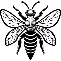           Asian giant hornet bee vector illustration.
