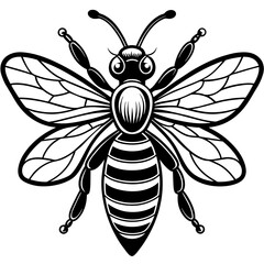           Asian giant hornet bee vector illustration.

