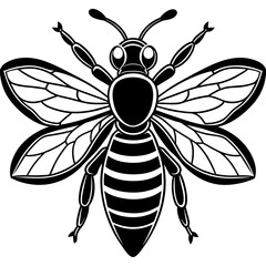           Asian giant hornet bee vector illustration.
