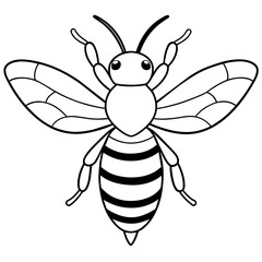           Asian giant hornet bee vector illustration.
