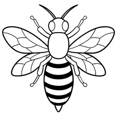           Asian giant hornet bee vector illustration.
