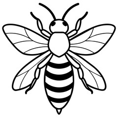           Asian giant hornet bee vector illustration.
