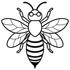           Asian giant hornet bee vector illustration.
