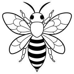           Asian giant hornet bee vector illustration.
