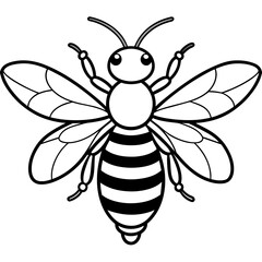           Asian giant hornet bee vector illustration.
