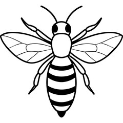           Asian giant hornet bee vector illustration.
