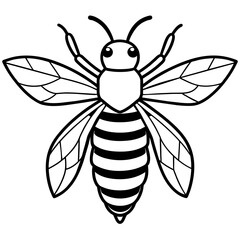           Asian giant hornet bee vector illustration.
