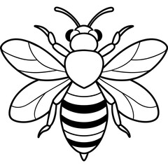           Asian giant hornet bee vector illustration.
