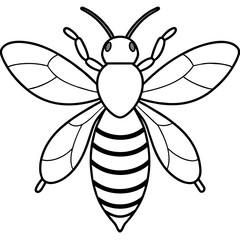           Asian giant hornet bee vector illustration.
