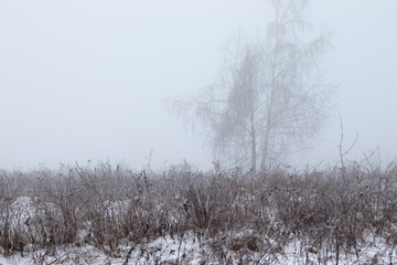 Field covered with snow. Foggy morning.
