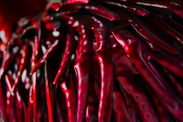 Red chili peper.