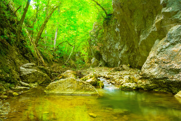 small waterfall on the mountain river