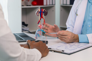 Doctors are counseling prostate cancer patients and using model of the penis to provide an example...