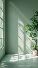 Empty room with a tree in a pot. Green wall and big window. Sunlight coming in and making beautiful shades. Copy space. Product placement.