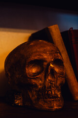 Gloomy skull on a shelf by old vintage books. Concept of death, horror, occult and gothic. - 778300077