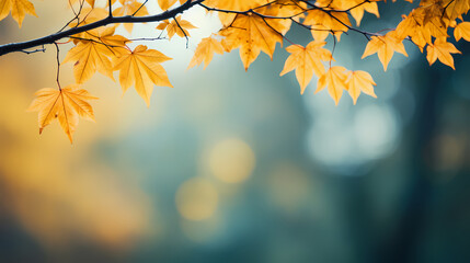 Autumn maple leaves scenery - obrazy, fototapety, plakaty